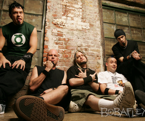 Bobaflex Bobaflex