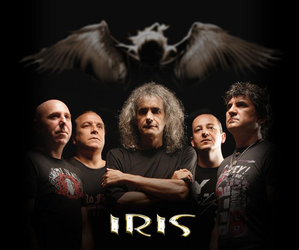 Iris Iris