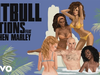Pitbull - Options (Damaged Goods Remix) (Audio) (feat. Stephen Marley)