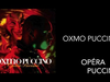 Oxmo Puccino - Peur noire