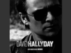 David Hallyday - New York City (Moi je)