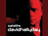 David Hallyday - Comment faire