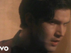 Lloyd Cole And The Commotions - From The Hip