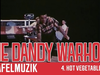 The Dandy Warhols - 5. HOT VEGETABLE - Tafelmuzik