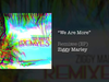 Ziggy Marley - We Are More (RUSL Remix)