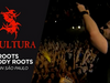 Sepultura - Roots Bloody Roots (Live in São Paulo)