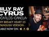 Billy Ray Cyrus & Jencarlos Canela - Achy Breaky Heart 25 (Spanglish)
