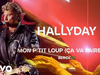 Johnny Hallyday - Mon p'tit loup (ça va faire mal) (Live Officiel Bercy 90)