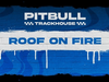 Pitbull - Roof on Fire (Visualizer)