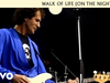 Dire Straits - Walk Of Life (On The Night Live)