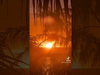 Axel Bauer - Je vous partage ce beau coucher de soleil depuis la Réunion où nous jouons demain et après demain.