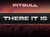 Pitbull - There It Is (Visualizer)
