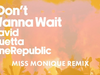 David Guetta & OneRepublic - I Don't Wanna Wait (Miss Monique remix) (Visualizer)