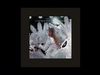 Taylor Swift - I Can Do It With A Broken Heart (Dombresky Remix)