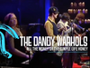 The Dandy Warhols - All The Money Or The Simple Life Honey (Live at The Chapel)