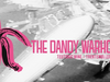 The Dandy Warhols - Teutonic Wine - Trentemøller Remix (Visualizer)