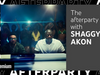 Boom Body After Party with Shaggy x Akon