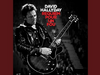 David Hallyday - High (Live)