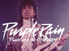Prince & The Revolution - Purple Rain