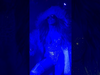 Jennifer Lopez - Coachella 2026 … the moments before the surprise.