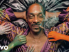 Snoop Dogg - No Ticcet Needed (feat. Kanobby)