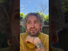 John Butler Trio - John Butler touring UK & Europe w full band OCT-DEC 2025