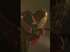 Metallica - “Hammer comes crushing…” #M72Frankfurt
